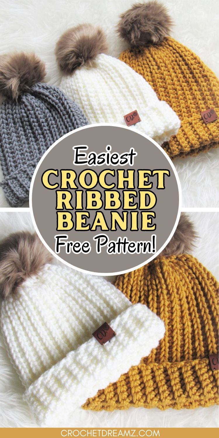 Crochet Ribbed Beanie (in 6 Sizes) - Crochet Dreamz