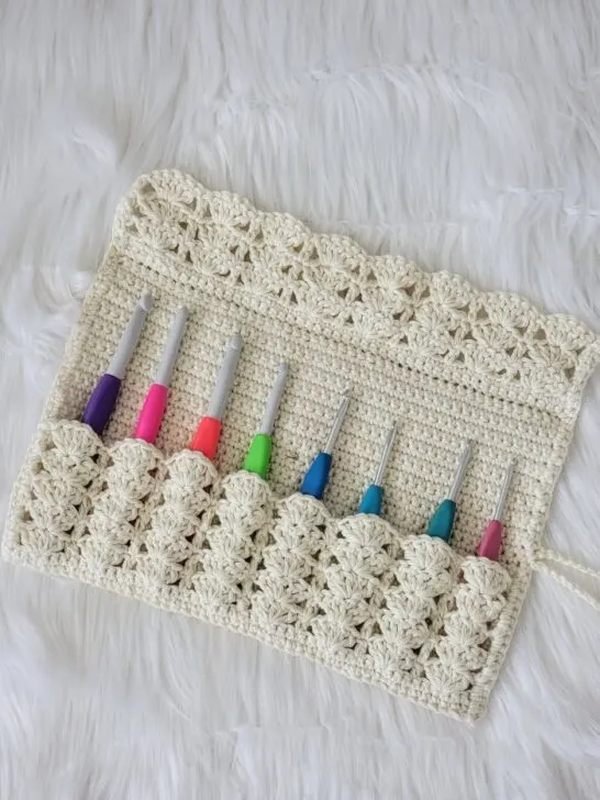Crochet hook case with hooks in it