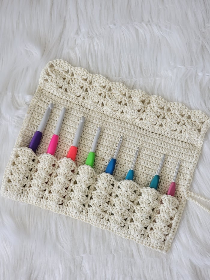 Crochet hook case with hooks in it