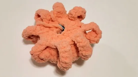 All 8 arms of octopus finished, view from bottom
