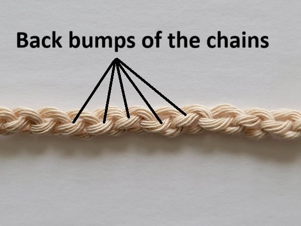 Back bumps of the chain shown with black lines